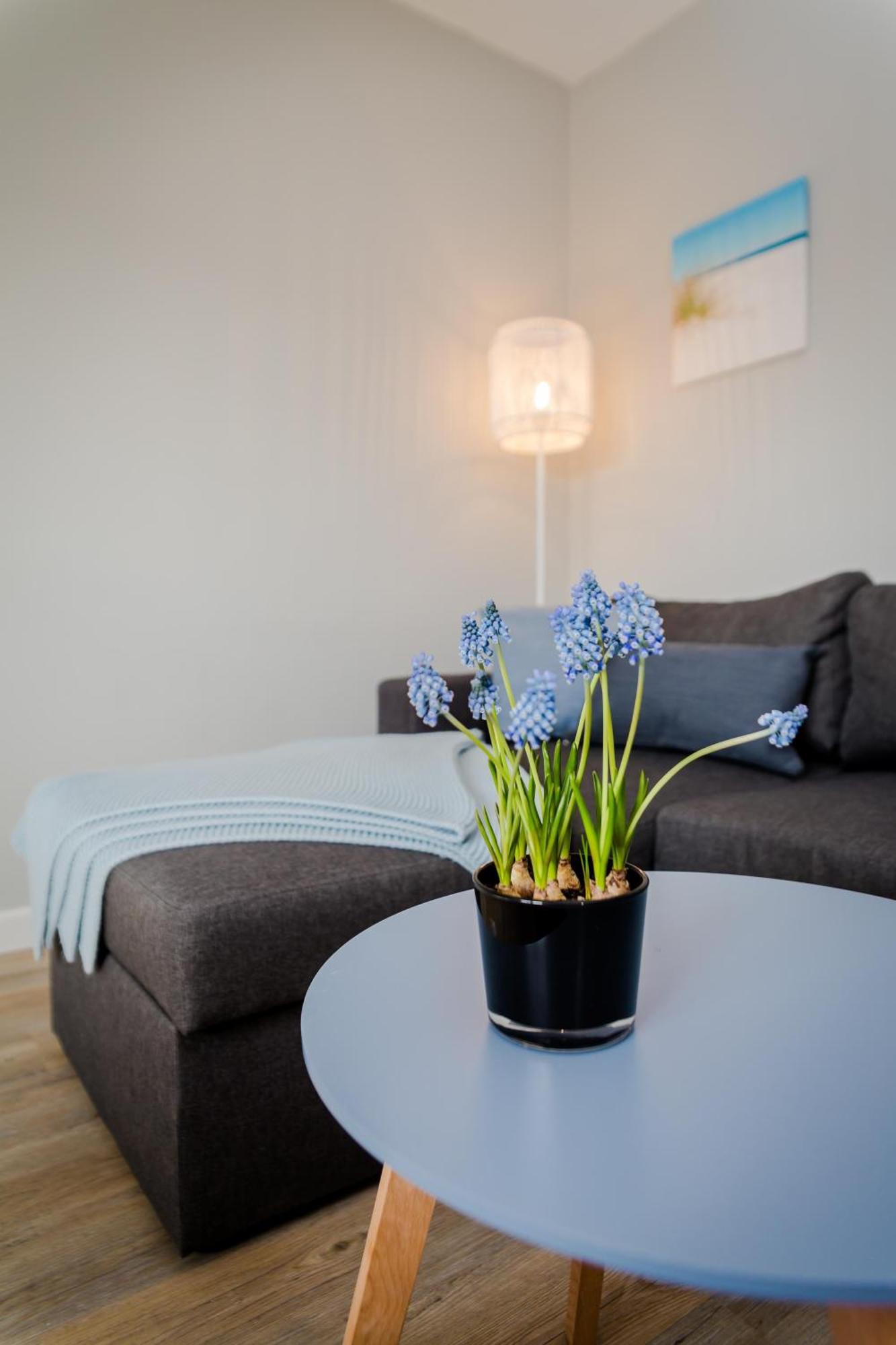 Moewennest Apartment *